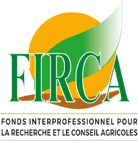 Logo 3