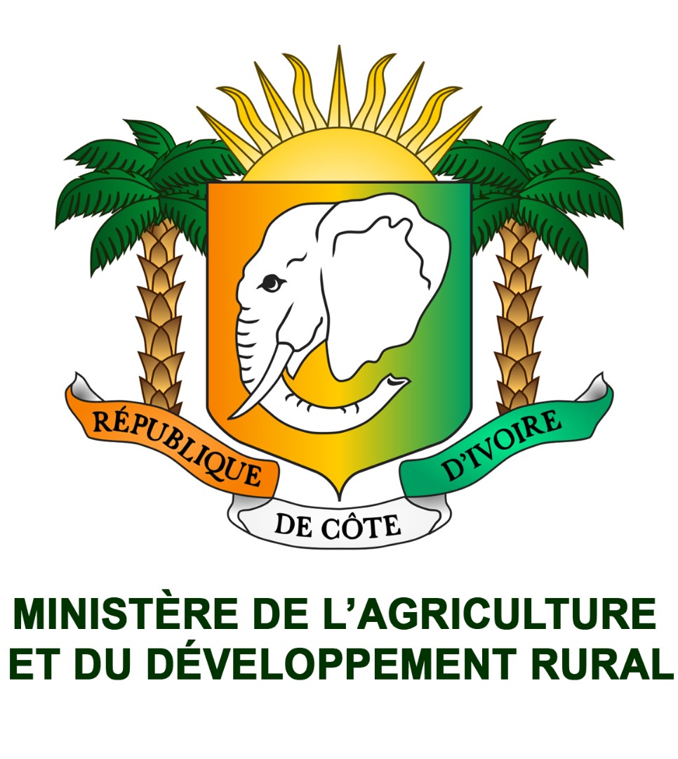 Logo 3