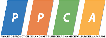 Logo 7