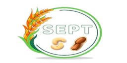 Logo 10
